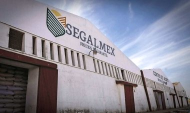 Segalmex reconoce fraude por 9 mmdp en el organismo