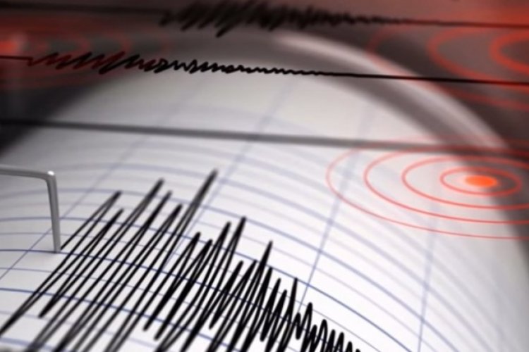 Michoacán cierra el año con sismo