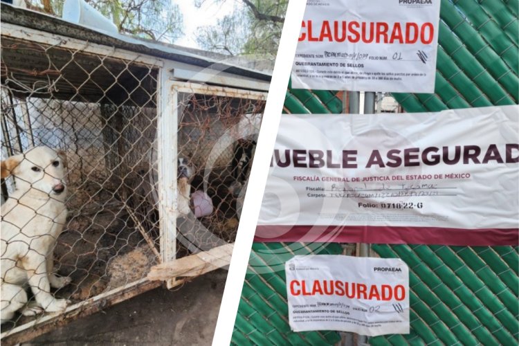 Clausuran centro canino en Zumpango