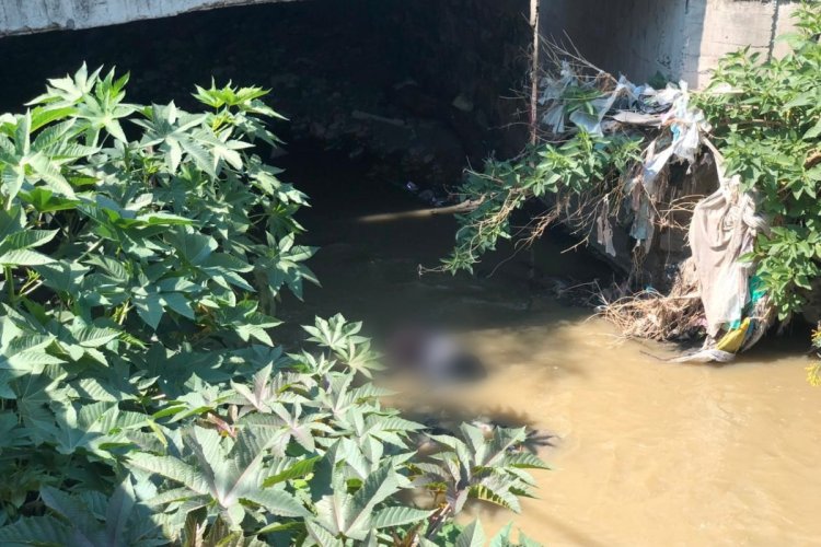 Encuentran cuerpo de abuelito flotando en canal de Ecatepec