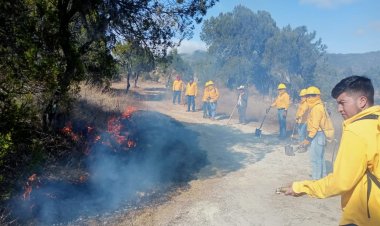 Incendios forestales terminan con el 70? los bosques poblanos
