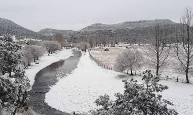 Intensos fríos y nevadas cubrieron a gran parte del estado de Chihuahua