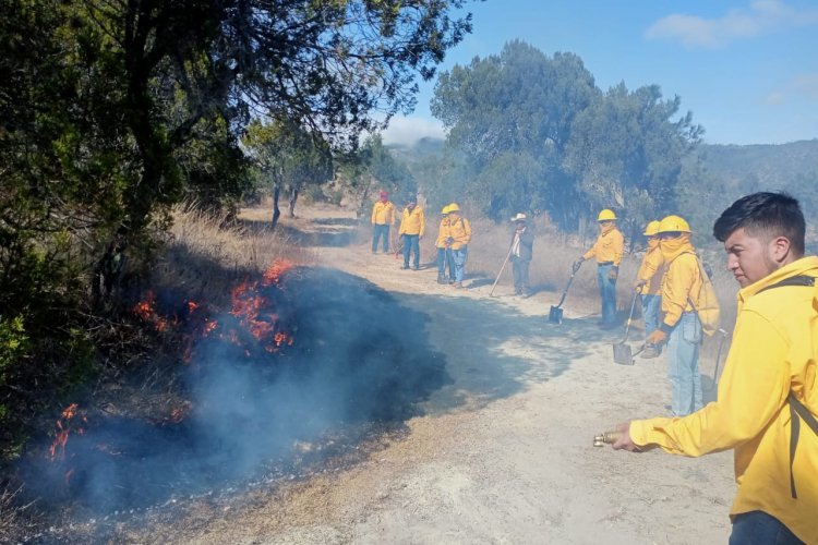 Incendios forestales terminan con el 70? los bosques poblanos