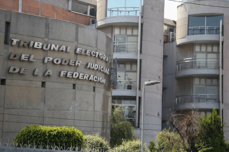 Morena incurrió en calumnia electoral por campaña “traidores a México” contra legisladores: TEPJF