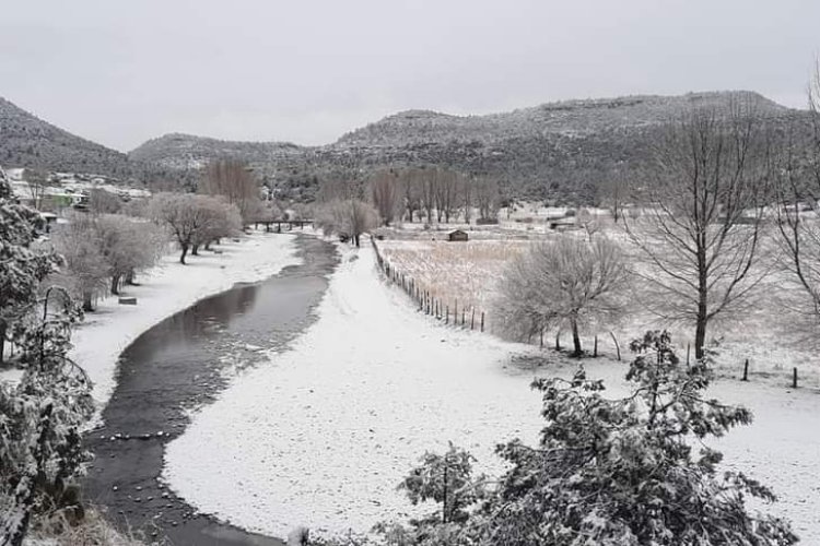 Intensos fríos y nevadas cubrieron a gran parte del estado de Chihuahua