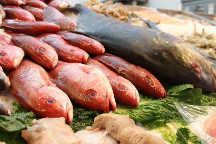Ante inacción de CONAPESCA, mexicanos no saben  el origen del pescado que consumen, dice ONG
