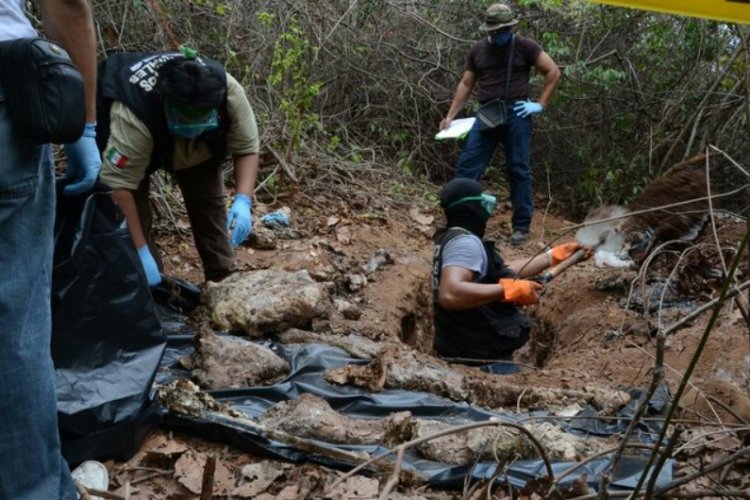 El control por Jalisco, Colima y Nayarit