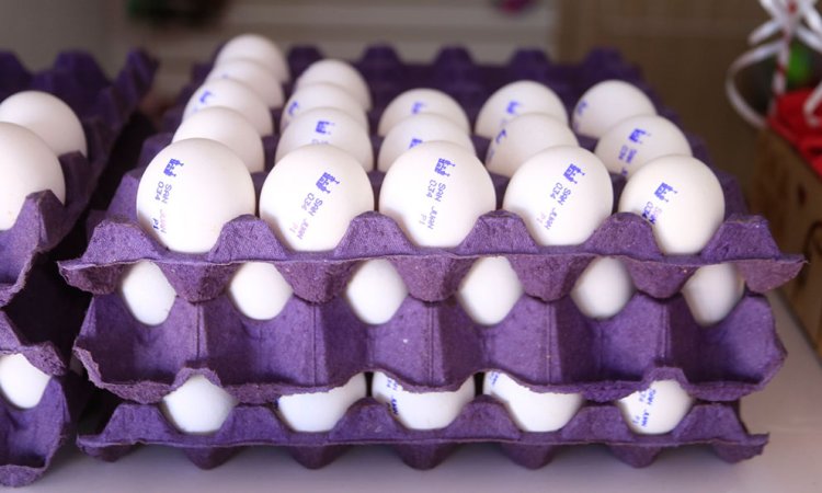 Precio del huevo se disparó 33.92% en la primera quincena de febrero en SLP