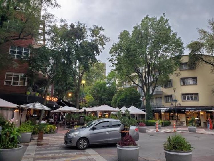 Intentan desarrolladores voraces cambiar uso de suelo en varias zonas de Polanco