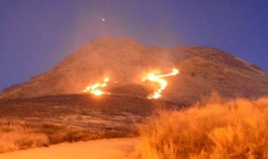 Los incendios en cerros de Chihuahua son ocasionados con fines lucrativos.