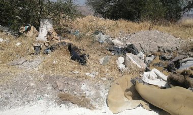 Aguas negras contaminan el área de Puentecillas