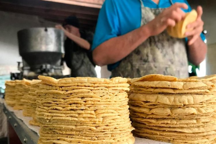 Prevén que el precio oscile entre los 30 pesos