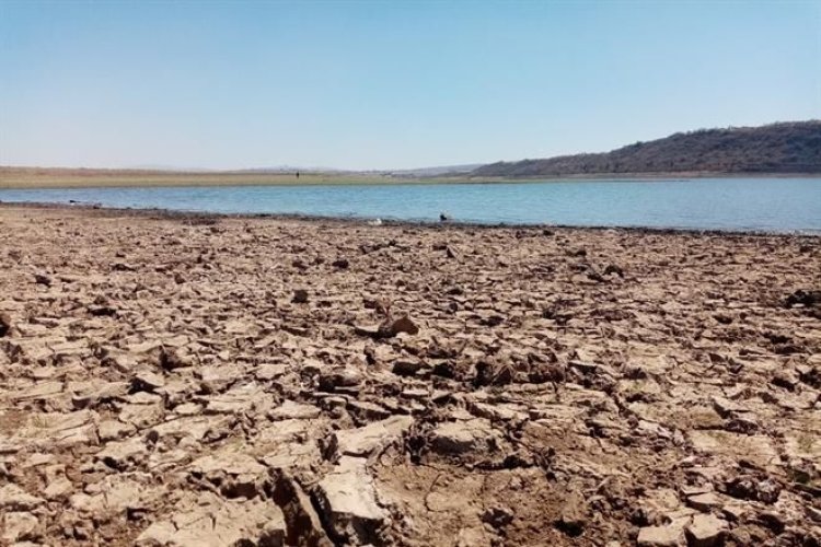 Sequía en casi todo el territorio de Jalisco por cuarto año consecutivo