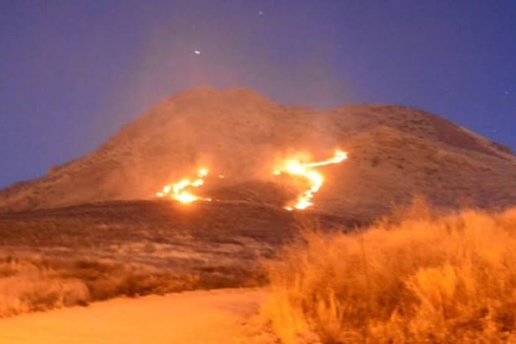 Los incendios en cerros de Chihuahua son ocasionados con fines lucrativos.