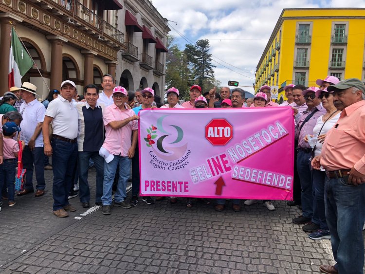 Miles de veracruzanos también se unieron a la marcha en defensa del INE