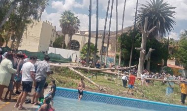 Muere bebé aplastado por árbol en balneario de Guanajuato