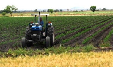 El campo en Durango se encuentra en foco rojo