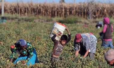 Tres menores mueren en Guasave por condiciones de pobreza