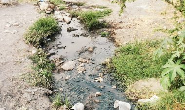 Autoridades  de Corregidora no cumplen con programa de mejoramiento al medio ambiente.