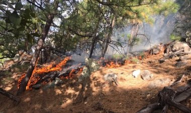 Nayarit, segundo lugar en afectaciones por incendios: Conafor