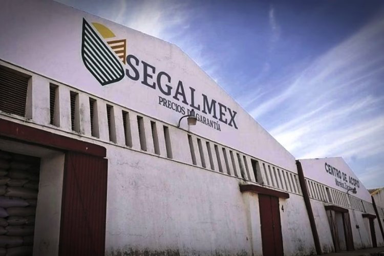 Acusan encubrimiento de AMLO en caso Segalmex