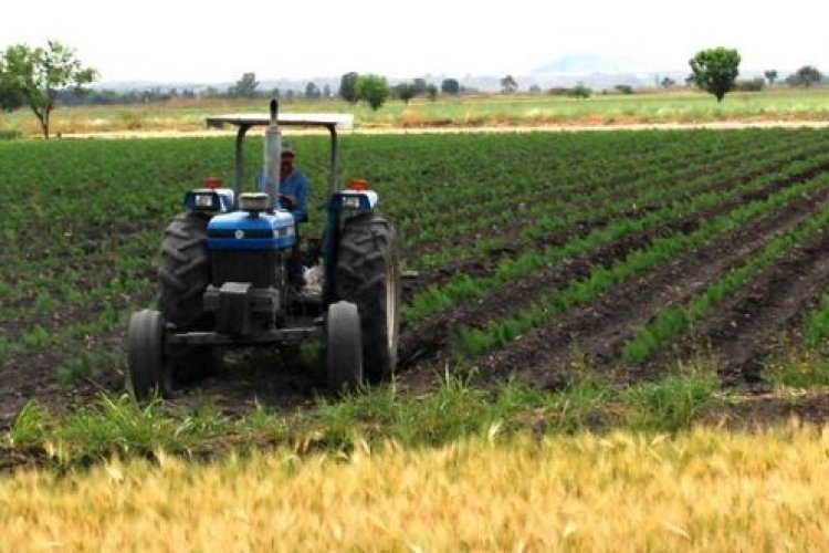 El campo en Durango se encuentra en foco rojo