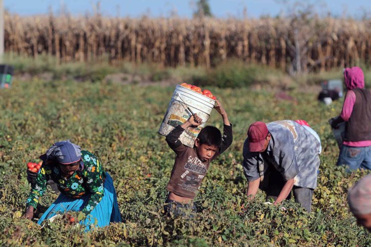 Tres menores mueren en Guasave por condiciones de pobreza