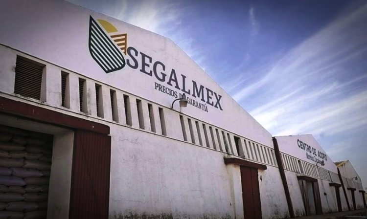 Acusan encubrimiento de AMLO en caso Segalmex