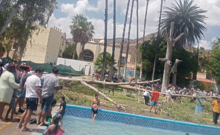 Muere bebé aplastado por árbol en balneario de Guanajuato