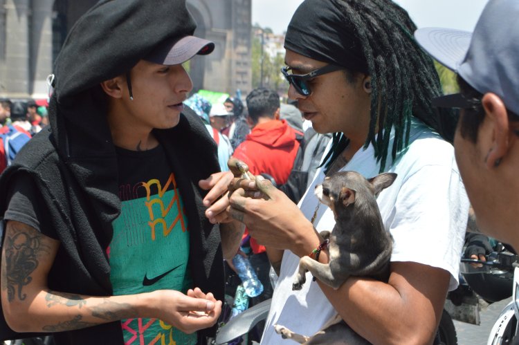 Con marcha pacífica colectivo Rodada Cannabica pide zona de tolerancia al consumo en Toluca