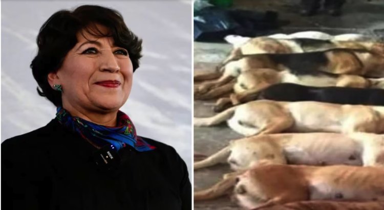 Denuncian a Delfina Gómez por el asesinato de más de 3 mil animales durante su gestión como alcaldesa en Texcoco