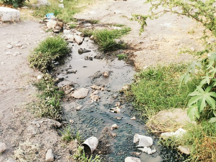 Autoridades de Corregidora no cumplen con programa de mejoramiento al medio ambiente.