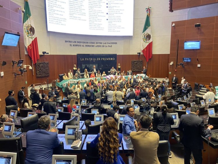 Acusan a morenista de hacer ‘trampa’ para aprobar reformas de Obrador en el Senado