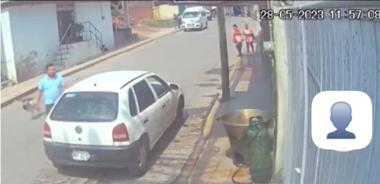 Obtienen orden de aprehensión para hombre que arrojó a perrito en aceite en Tecámac
