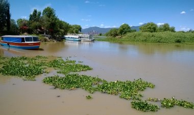 Agoniza el lago de Pátzcuaro