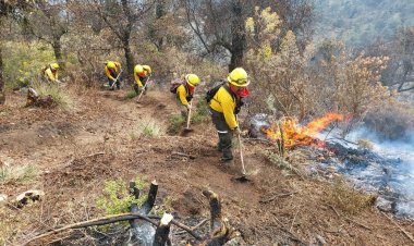 16 incendios forestales durante ola de calor en Veracruz