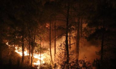 Arrecia incendio forestal en Zacatlán: consume 30 hectáreas y una vida humana