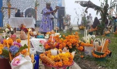 Con la reciente ola de calor y sin agua, peligra la siembra de cempasúchil para Xantolo