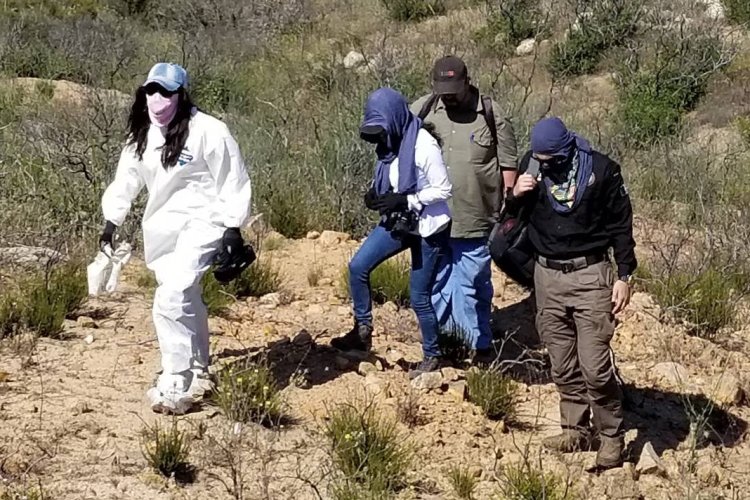 Encuentran 10 bolsas más con restos humanos en Zapopan, Jalisco