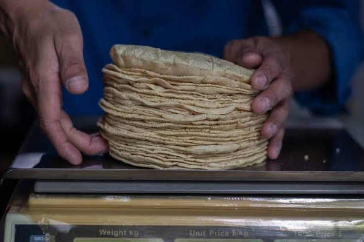 Tortilla alcanza 53 por ciento de incremento en Guanajuato