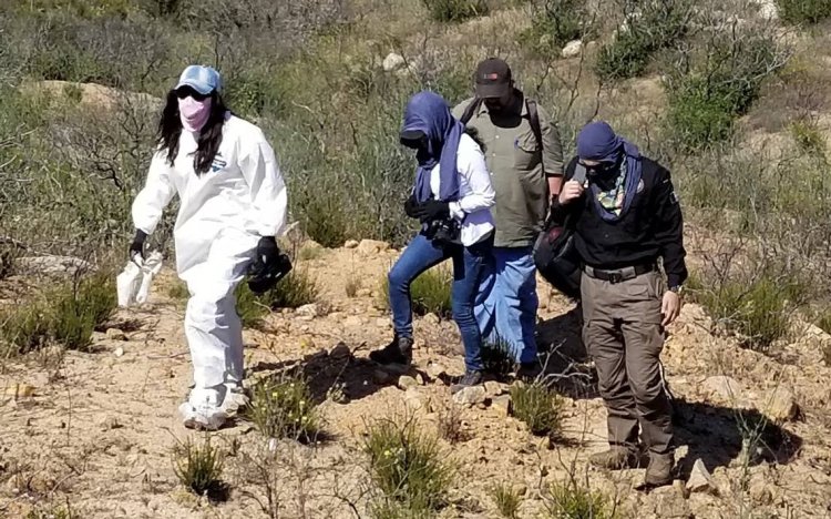 Encuentran 10 bolsas más con restos humanos en Zapopan, Jalisco
