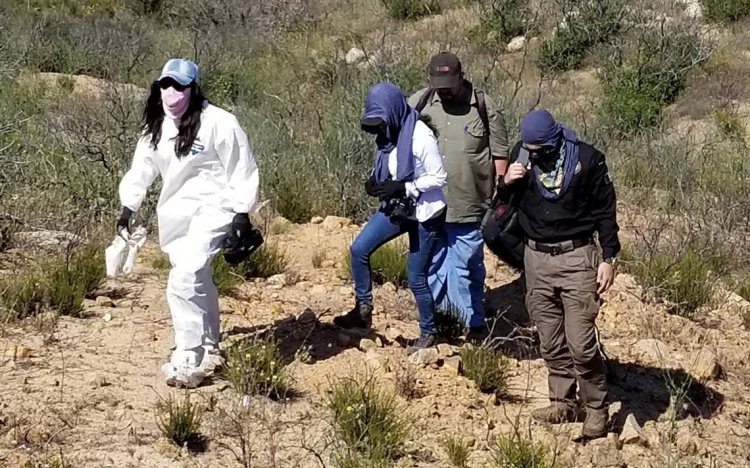 Encuentran 10 bolsas más con restos humanos en Zapopan, Jalisco