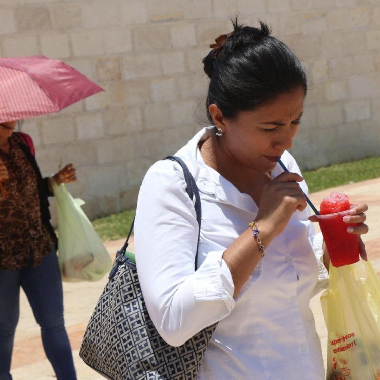 Ola de calor impacta en el sector económico del Edomex