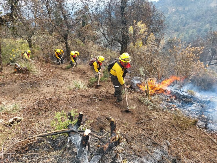 16 incendios forestales durante ola de calor en Veracruz