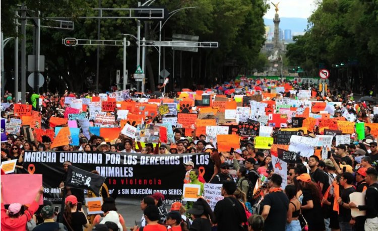 Realizan marcha ciudadana contra el maltrato animal en la CDMX