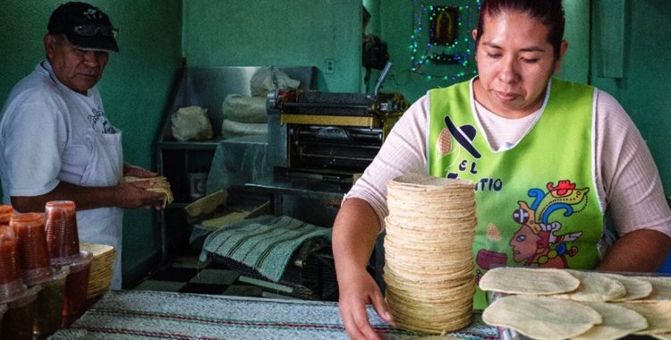 Tortillerías en riesgo en Guanajuato