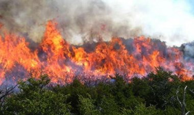 En San Luis Potosí se han registrado 20 incendios forestales