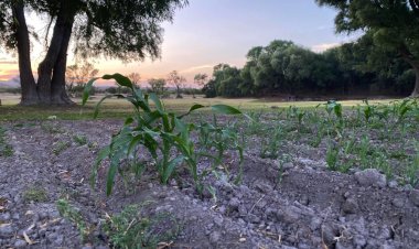 Se amplían programas para el campo en Aguascalientes