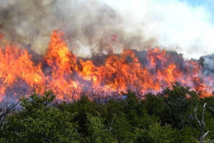 En San Luis Potosí se han registrado 20 incendios forestales