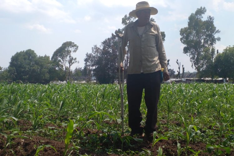 Nulo apoyo, principal problema en el campo mexiquense